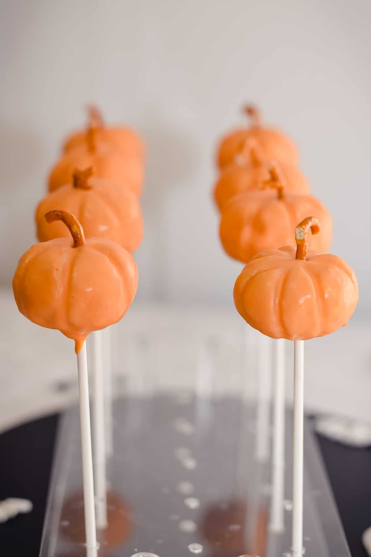 Pumpkin cake pops lined up in a cake pop stand