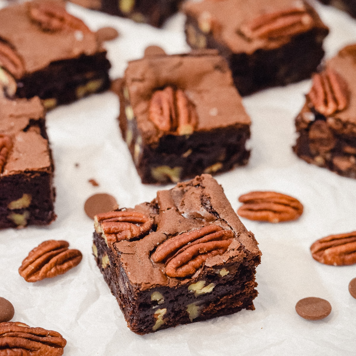 Pecan brownies cut into squares with scattered pecans and chocolate chips