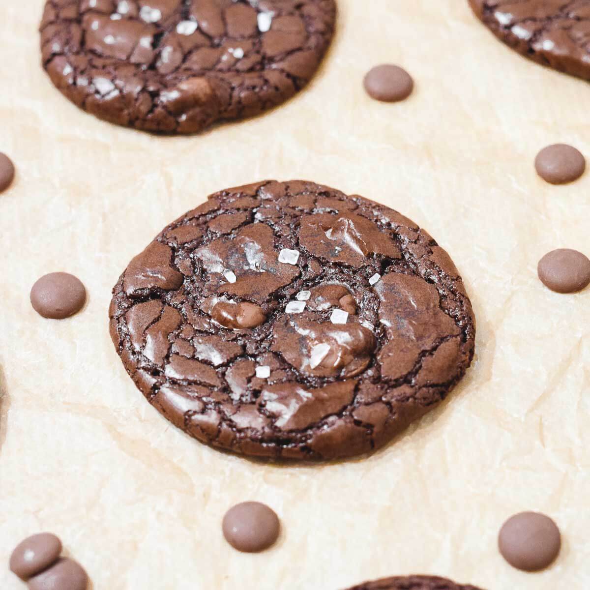 Fudgy Gluten-Free Brownie Cookies 