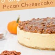 pumpkin spice no-bake cheesecake with a pecan praline topping and a ginger cookie base.