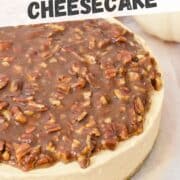 pumpkin pecan no-bake cheesecake with a pecan praline topping and a ginger cookie base.