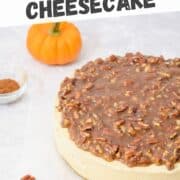 pumpkin pecan no-bake cheesecake with a pecan praline topping and a ginger cookie base.