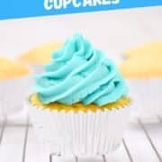 blue buttercream cupcakes recipe.