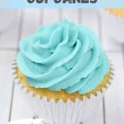 cute blue cupcake perfect for parties.