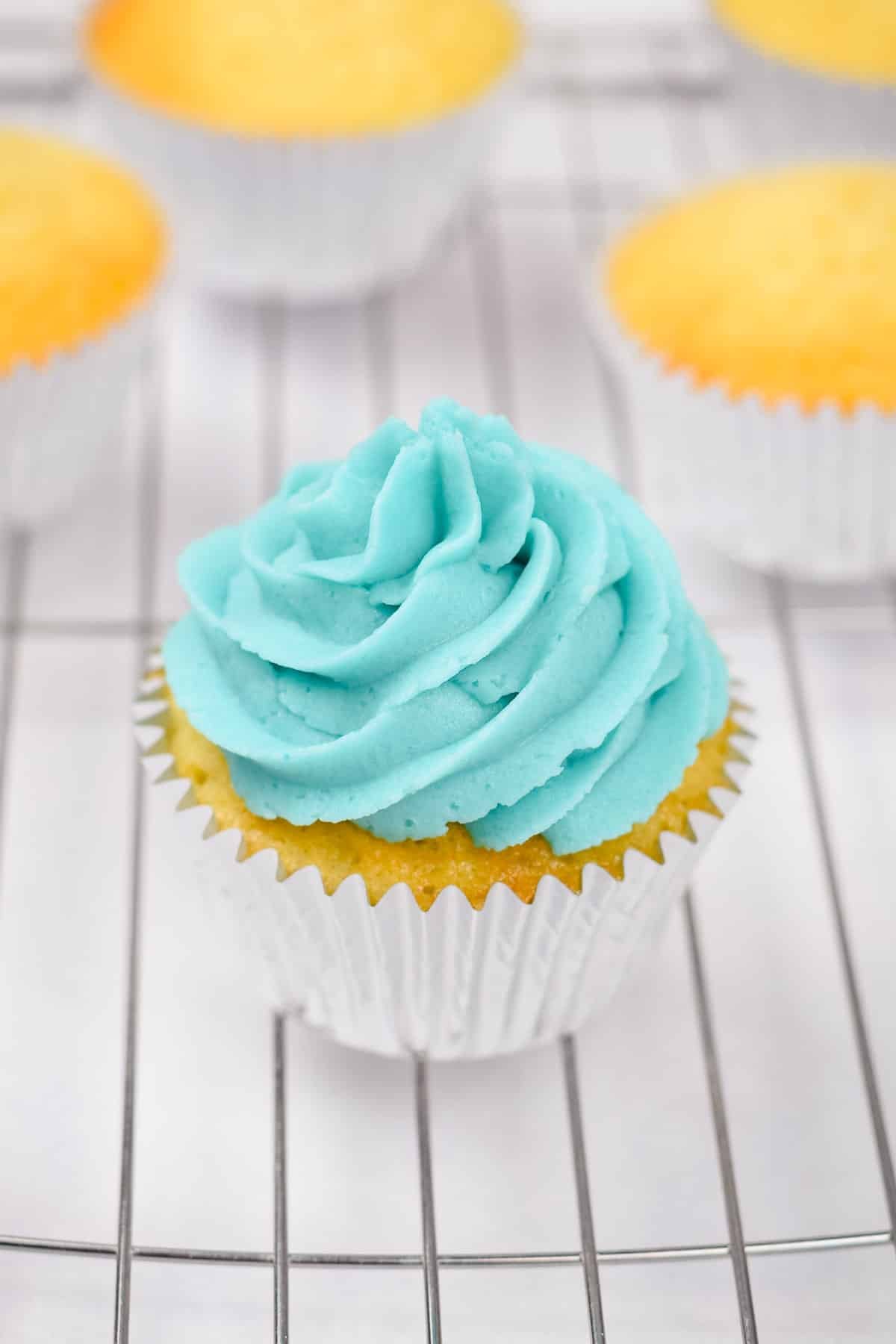 vanilla cupcakes with light blue buttercream frosting.